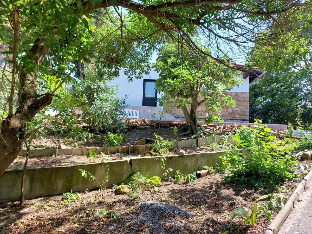 Getxo Garden Houses - The Suite Exteriör bild
